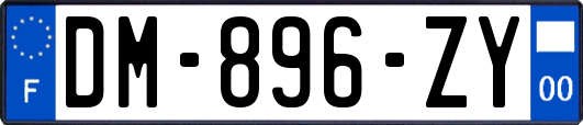 DM-896-ZY