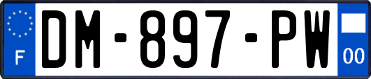 DM-897-PW