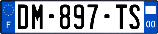 DM-897-TS