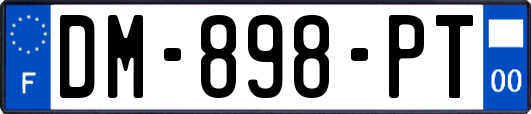 DM-898-PT