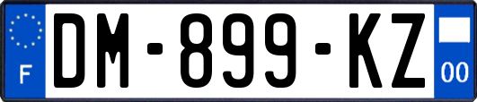 DM-899-KZ