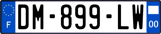 DM-899-LW