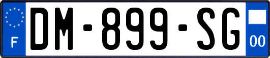 DM-899-SG