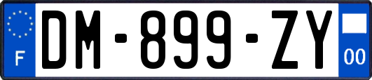 DM-899-ZY