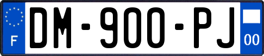 DM-900-PJ