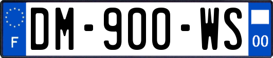 DM-900-WS