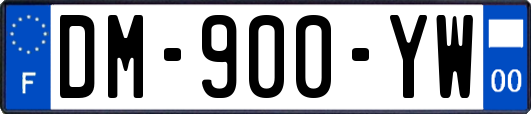 DM-900-YW