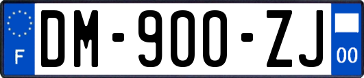 DM-900-ZJ