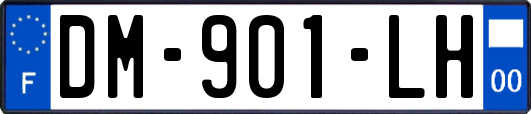 DM-901-LH