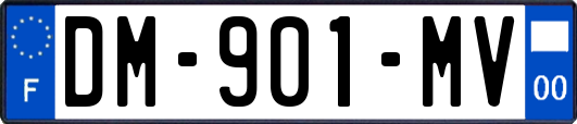 DM-901-MV