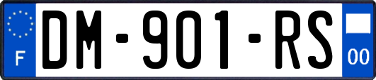 DM-901-RS