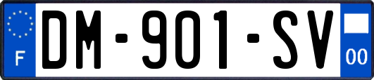 DM-901-SV