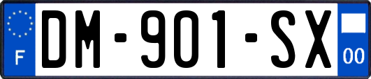 DM-901-SX