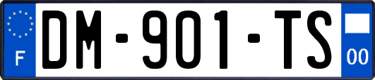 DM-901-TS