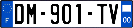 DM-901-TV