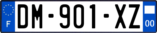 DM-901-XZ