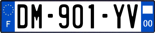 DM-901-YV