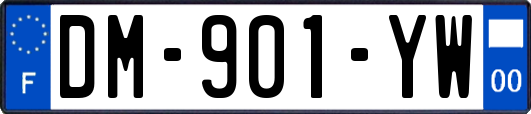 DM-901-YW