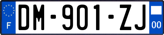 DM-901-ZJ