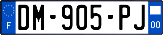DM-905-PJ