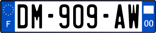 DM-909-AW