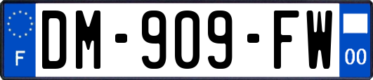 DM-909-FW