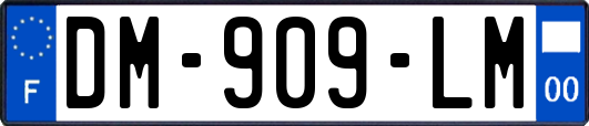 DM-909-LM