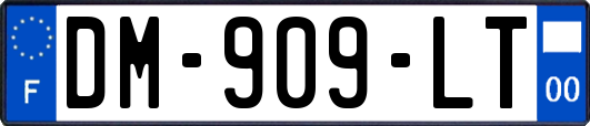 DM-909-LT