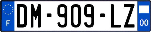 DM-909-LZ