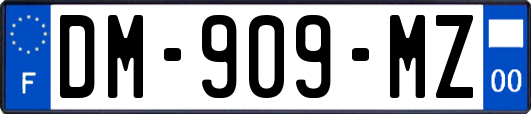 DM-909-MZ