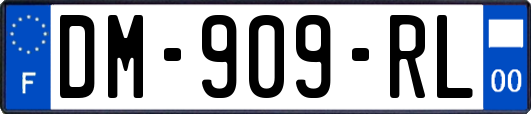 DM-909-RL
