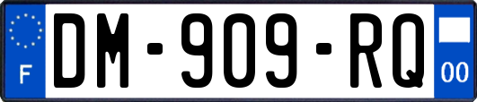 DM-909-RQ