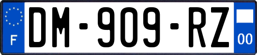 DM-909-RZ