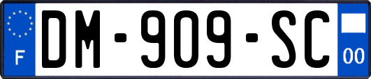 DM-909-SC