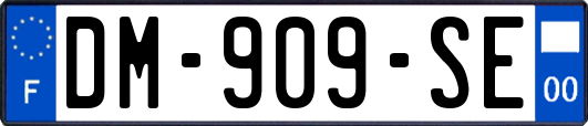 DM-909-SE