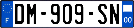 DM-909-SN