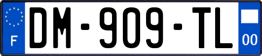 DM-909-TL
