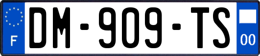 DM-909-TS