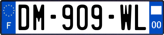 DM-909-WL