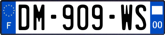 DM-909-WS