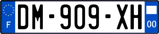 DM-909-XH