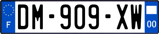 DM-909-XW