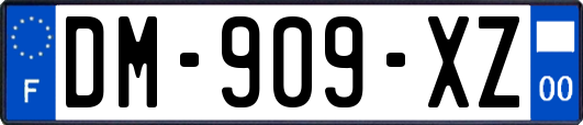 DM-909-XZ