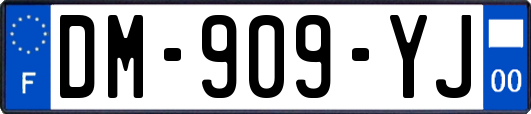 DM-909-YJ