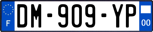 DM-909-YP