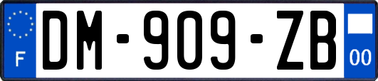 DM-909-ZB