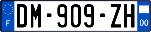 DM-909-ZH