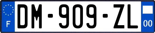 DM-909-ZL