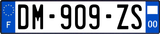 DM-909-ZS