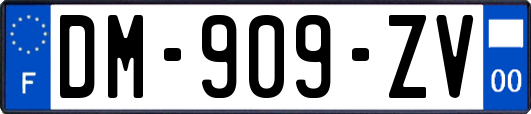 DM-909-ZV